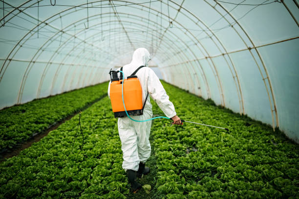 Best Commercial Pest Control Services  in Bridgeport, CT