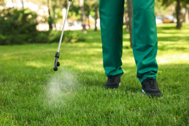 Professional Pest Control in Bridgeport, CT