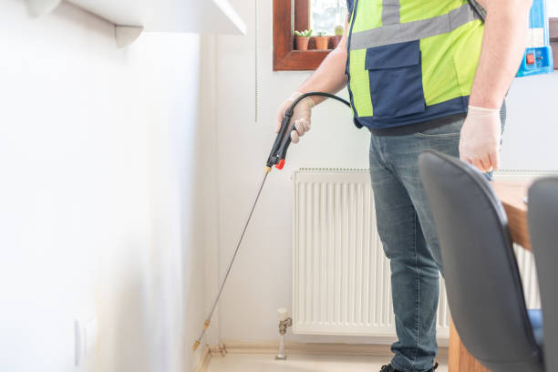 Best Local Pest Control Services  in Bridgeport, CT
