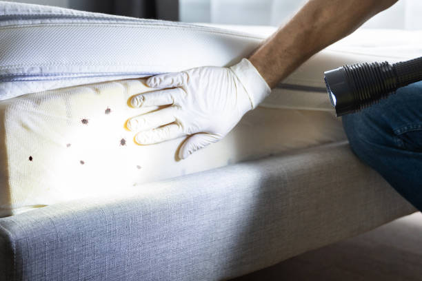 Best Best Pest Control Companies  in Bridgeport, CT