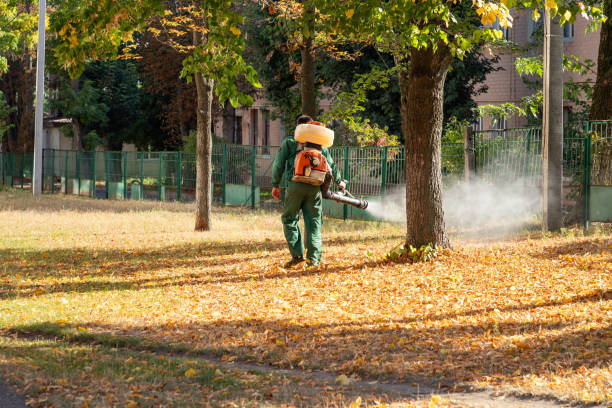 Best Residential Pest Control  in Bridgeport, CT