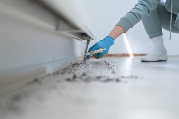 Best Wildlife Control Services  in Bridgeport, CT